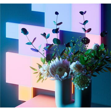 Kit 6 panouri luminoase inteligente Nanoleaf N8100K02-6BS, Control vocal, Multicolor