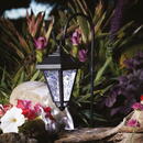 Garden of Eden Lampa solară LED - felinar - 80 cm - negru - alb rece