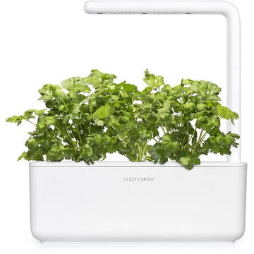 Click and Grow Pod pentru plante 3 pachete Coriandru