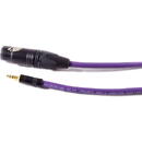 Kabel Melodika Jack 3.5mm - XLR 2.5m fioletowy