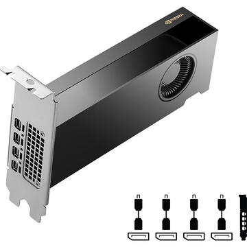 Placa video PNY Quadro RTX 2000 ADA 16GB GDDR6 4x Mini Display port