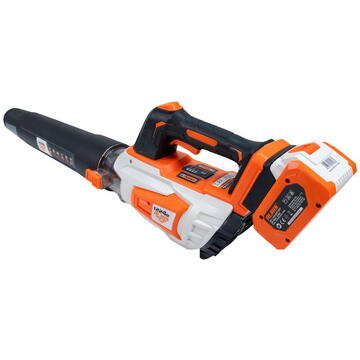 Suflanta pe acumulator Ruris 1224e Power Alfa UP {contine acumulator + incarcator}