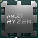 AMD AMD Ryzen 7 7700X processor 4.5 GHz 32 MB L3